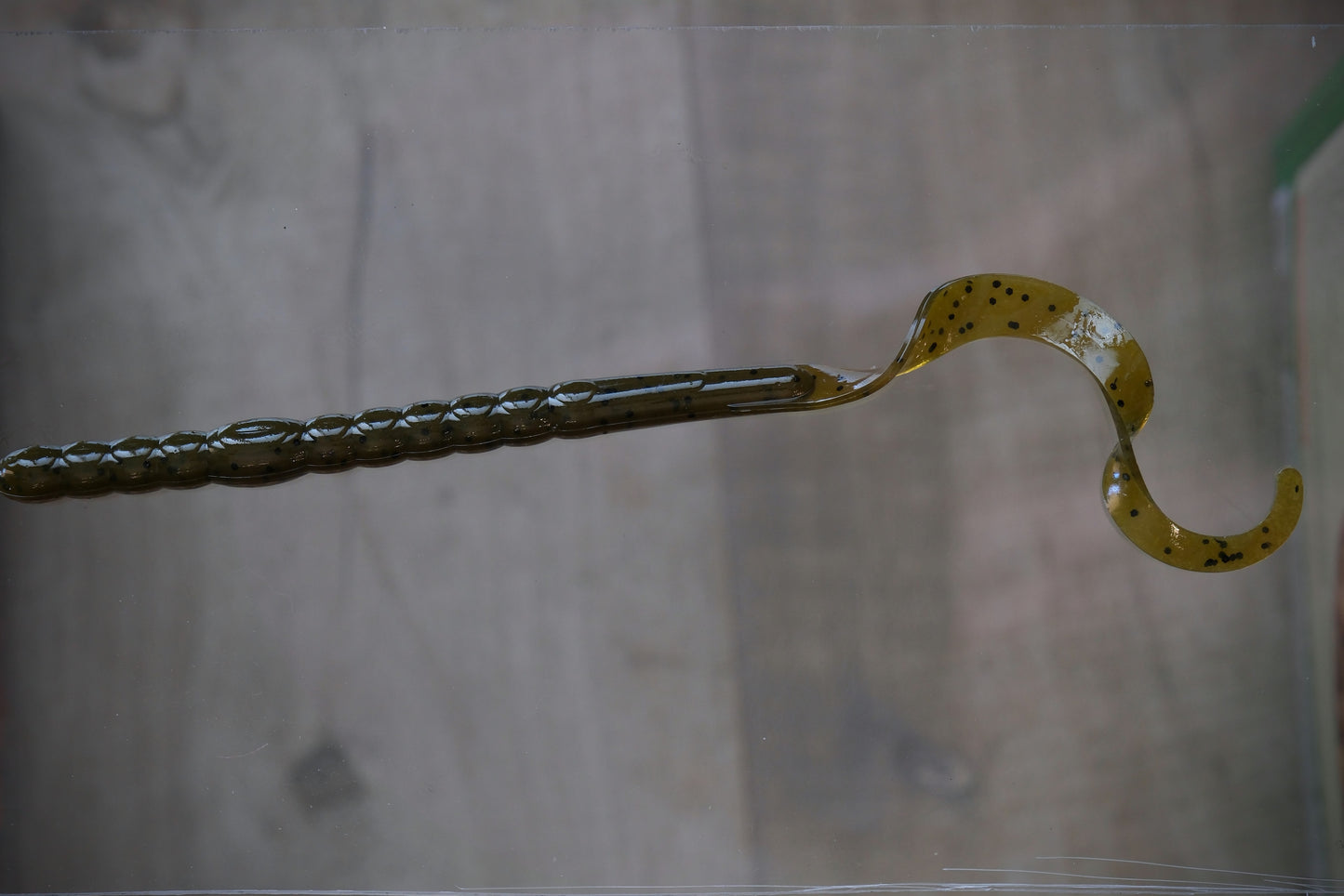 A translucent olive-brown soft plastic fishing lure with a ribbed body and a curved tail speckled with small black dots, shown against a blurred gray background.