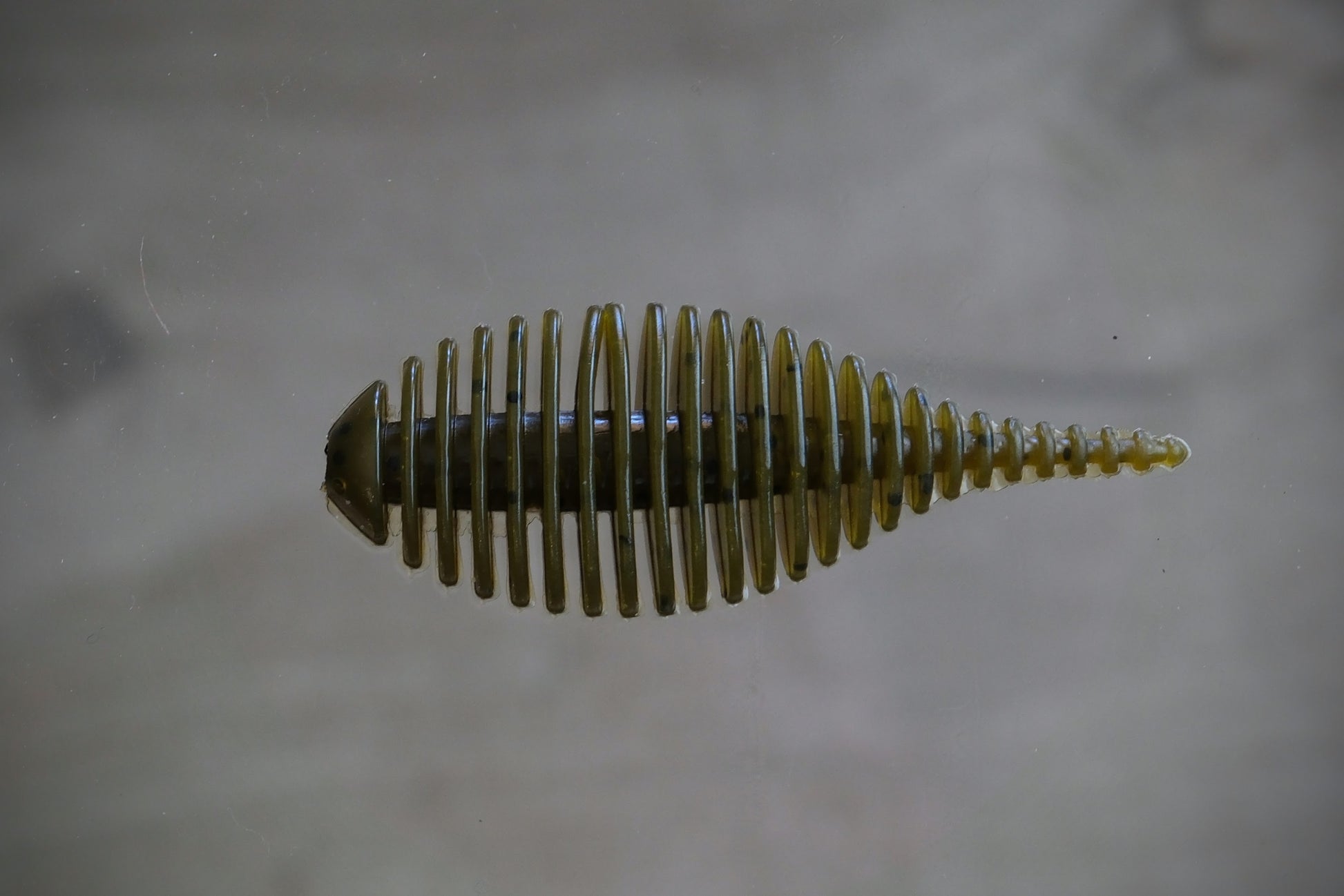 Green pumpkin soft plastic fishing lure with a ribbed body and a tapered tail, shown against a neutral gray background.